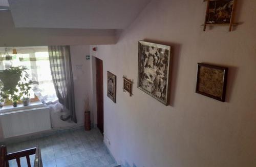 Borsec House | Vila Riki