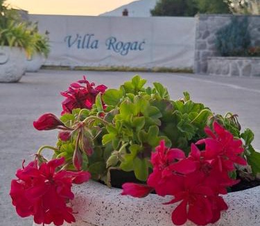 Klinci Villa | Vila Rogač