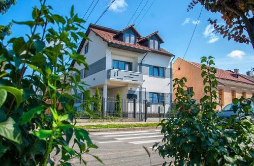 Sighetu Marmatiei House | Vila Roza