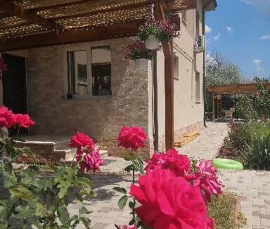 Mamaia-Sat Villa | Vila Sidef Mamaia Nord