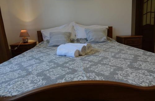 Campulung Moldovenesc Villa | Vila Simon