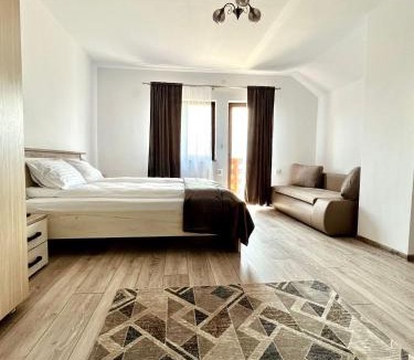 Hateg Villa | Vila SOFIA