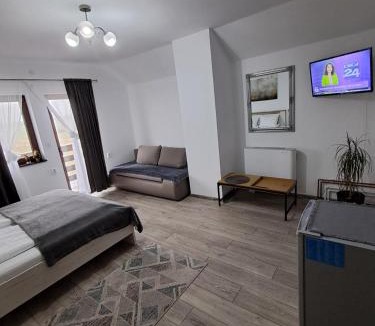 Hateg Villa | Vila SOFIA