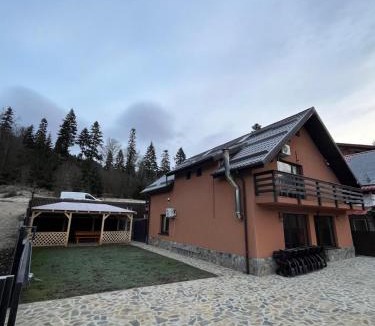 Azuga Villa | Vila Soleil