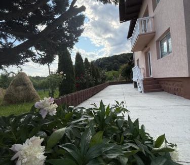 Cicanesti House | Vila Teo