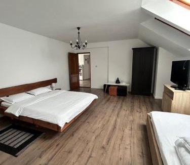 Toplita House | Vila TeoNa