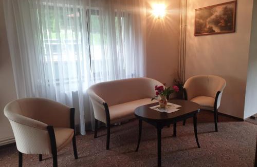 Tismana Hotel | Vila Tisa