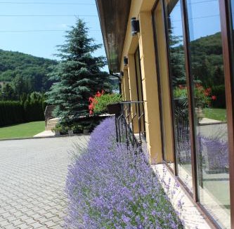 Sacele House | Vila Trapez