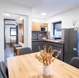 Moravske Toplice Apartment | Vila Trta