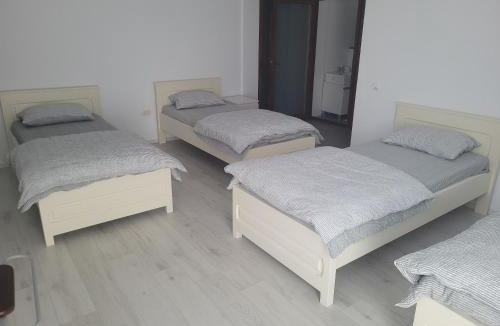 Pitesti House | Vila Vati - Arena Pitesti
