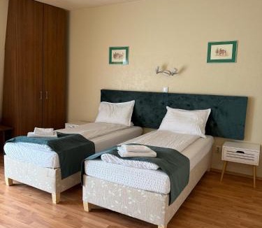 Hateg House | Vila Veche