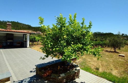 Serta Villa | Vila Venetas