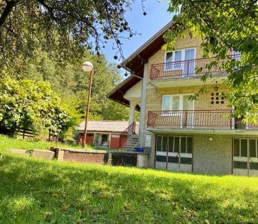 Mojkovac Villa | Vila Vidak