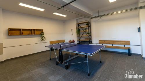 Brasov House | Vila Zinnober