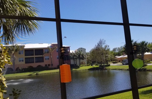 Estero Villa | Villa 3 bedroom 3 bath with private pool near Coconut Mall Estero FL.