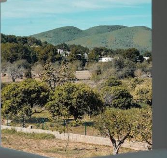 Santa Eulalia del Rio Villa | Villa 4 Palms only 5 minutes from Ibiza