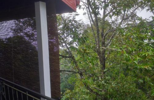 Teldeniya House | Villa 95 Rangala