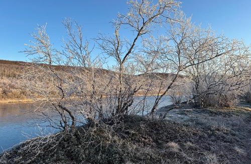 Utsjoki Villa | Villa Aitti