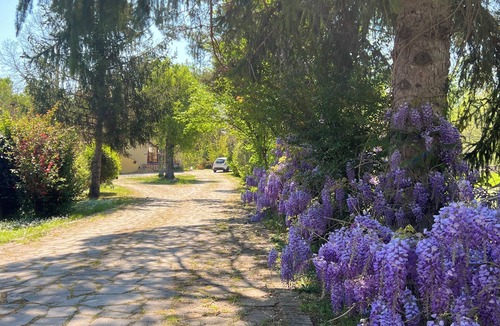 Sulmona Apartment | Villa Alberto