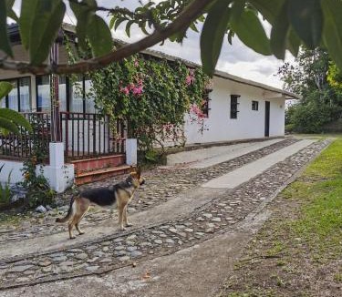 Popayan House | VILLA ALEJANDRA - Hermosa FINCA cerca al centro - Sendero - Jacuzzi