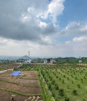 Oro Oro Ombo Villa | Villa Alibaba E5