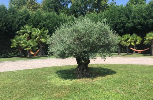 Ronago House | Villa Althea