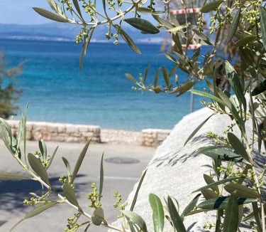 Sutivan Villa | Villa Andrea