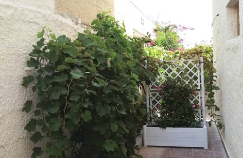 Granelli Villa | Villa "Antony Piano Terra" with Sea View & Shared Garden