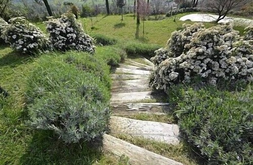 Pieve al Bagnoro House | Villa Arcanda D: A characteristic and welcoming apartment, with Free WI-FI.