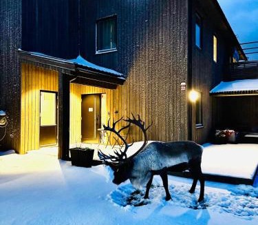 Tromso Villa | Villa Arctic