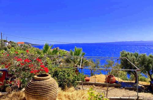 Pythagorion Villa | villa Aspasia