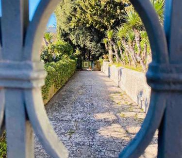 Tiberio Villa | Villa Aurora Caprese