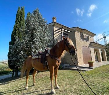 Porto Sant'Elpidio Villa | Villa Azzurra