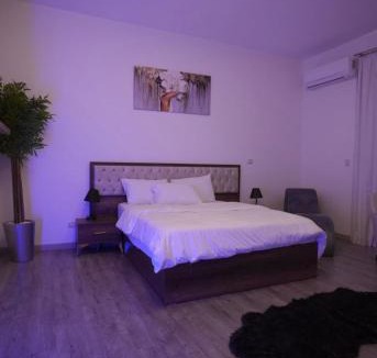 Sheikh Zayed City Apartment | Villa B107