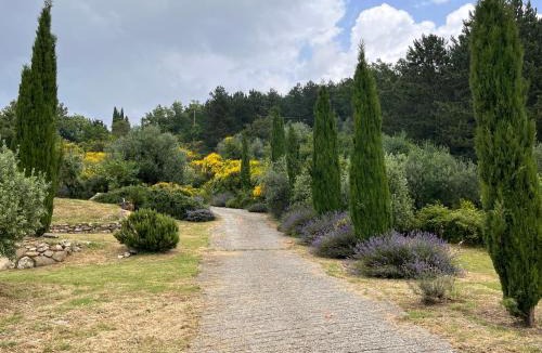 Cinigiano Villa | Villa Bella Costa