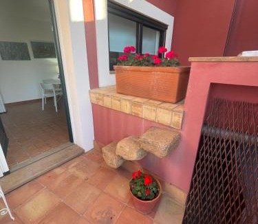 Augusta House | Villa Bella
