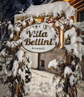 Borsec Hotel | Villa Bellini Borszék