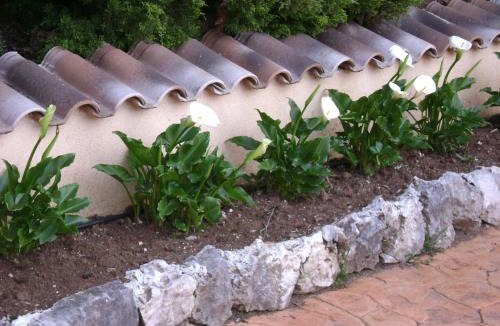 Morino Bed & Breakfast | Villa Benice