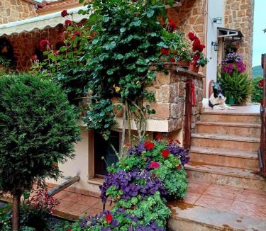 Olympiada House | Villa Bettina