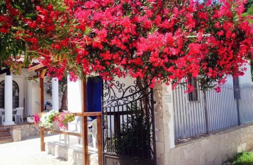 Peschici House | Villa Bianca