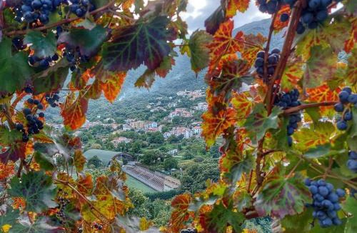 Tramonti Bed & Breakfast | Villa Bianca