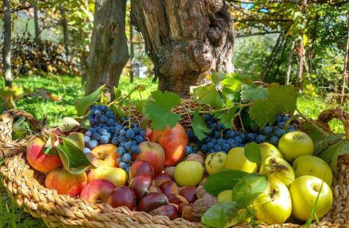 Tramonti Bed & Breakfast | Villa Bianca