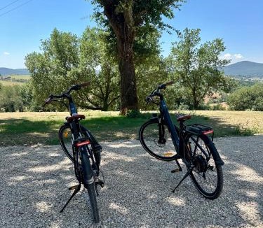 Montecastrilli Apartment | Villa Bianchini