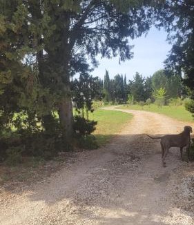Arles House | Villa Blanche - Teritoria