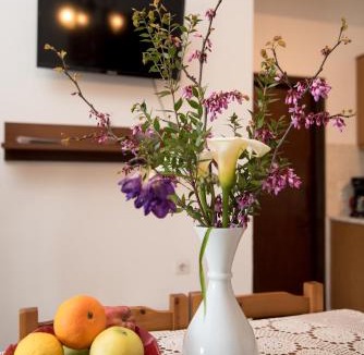 Agios Georgios Pagon Apartment | Villa Blue Pearl Corfu