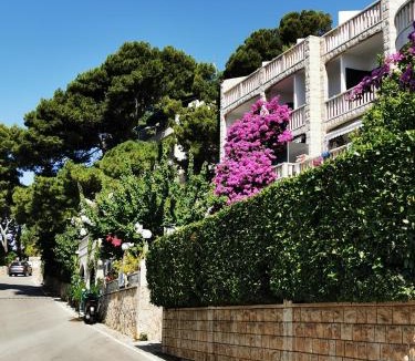 Brela Apartment | VILLA Bose