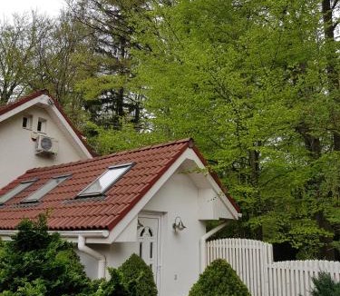 Busteni House | Villa BRUNO