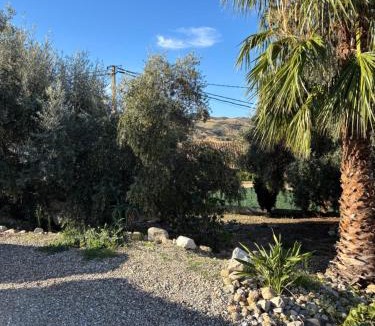 Arboleas Villa | Villa Canario