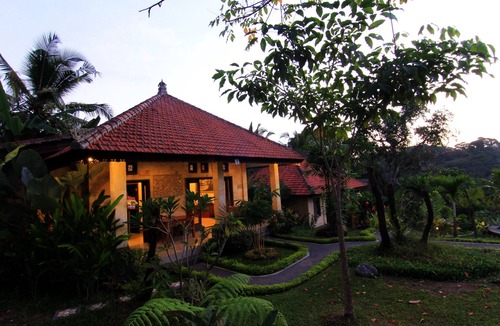 Ubud City-Centre Villa | Villa Capung Mas