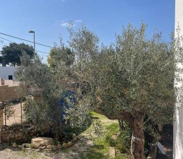 Capilungo Apartment | Villa Caputo con posto auto e giardino immenso